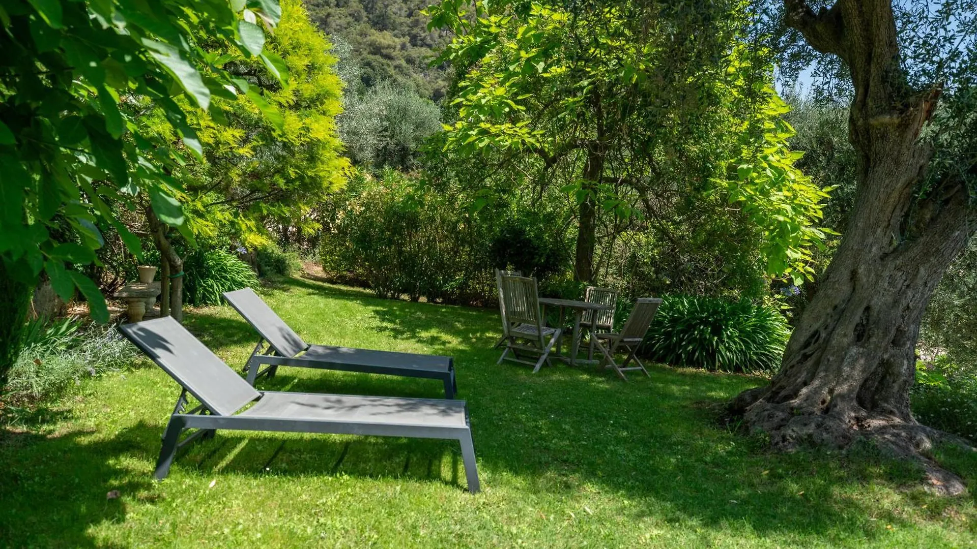 La Colline De Vence Bed & Breakfast